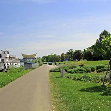 Donaublick Mit Terrasse